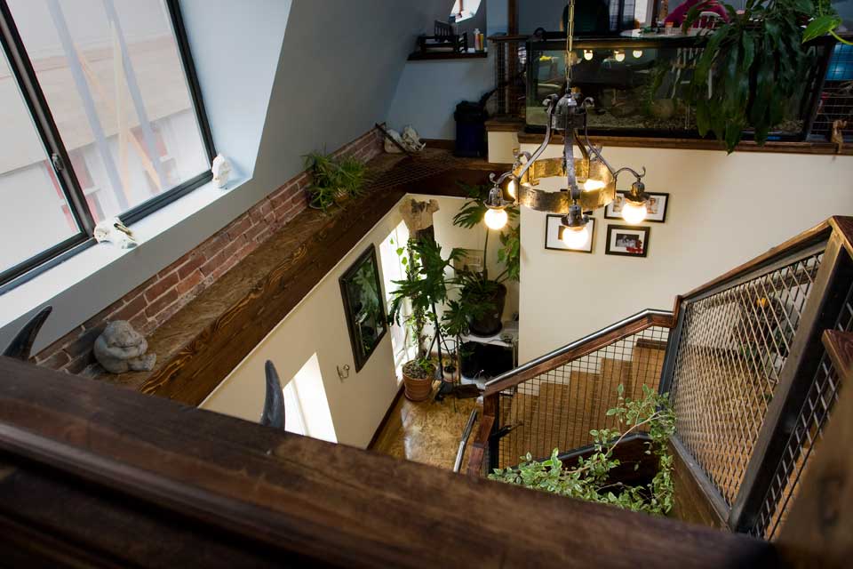 Dt-Detroit Street Carriage House